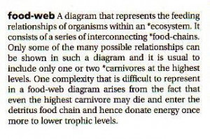 YEAR 5 - FOOD CHAIN & FOOD WEB