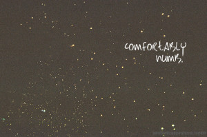 Song: “Comfortably Numb” - Pink FloydImage from: -rupturedveins