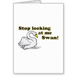 Stop looking at me swan