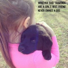 Black lab / Labrador puppy - Quote - Whoever said 