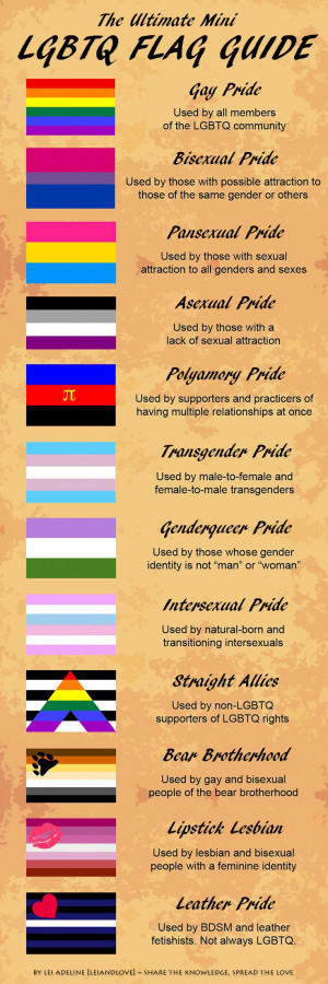 LGBTQ Flag Guide I guess you could say i'm a 