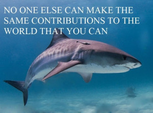 motivational shark Meme