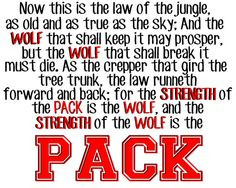 from etsy ncsu wolf pack poster