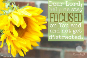 Dear Lord, Help me stay focused on You, and not get distracted or ...