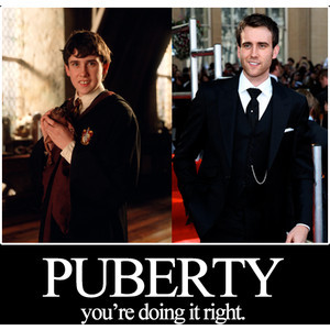 Harry Potter & The Sexy Male Actors..♥