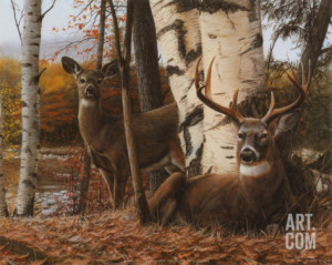 Browning Buck And Doe Decal...