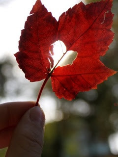 Love, Love Story, Love Gallery, Love wallpaper, Love Quotes