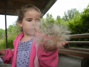 Mother And Daughter Abused. Fathers Who Emotionally Abuse Daughters ...