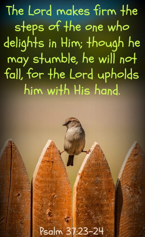 Good Bible Verses For Disappointment