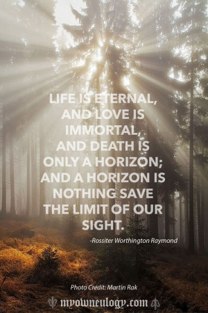 Love is immortal #love #quote #forever