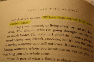 Without love, we are birds with broken wings. - Tuesdays with Morrie ...