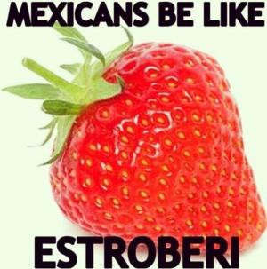 Mexicans be likeEstroberi