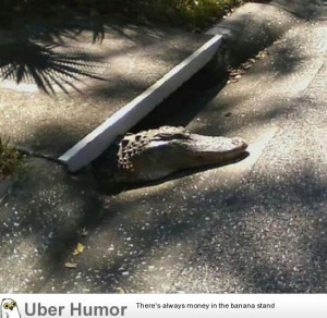 SIGN UP FOR THE NEW UBERHUMOR NEWSLETTER