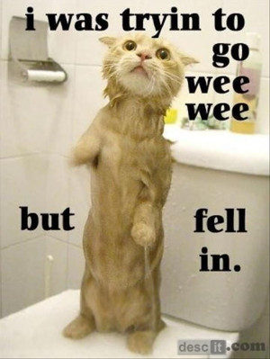 Return to Funny Picture Dump Of The Day – 49 Pics