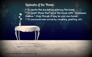 gardenofreminders:Sunnah of our beloved Prophet Muhammad (saw)“I ...