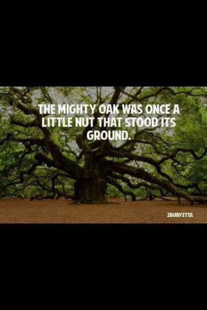 Mighty Oak - looked this up after seeing it quoted on Ashleys facebook ...