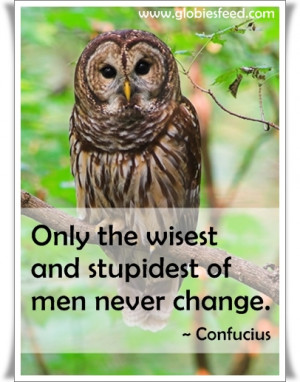 11 Confucius Quotes Boost Your Will Power