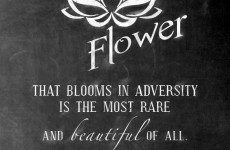 hp desktop wallpapers windows 7 - HD Backgrounds