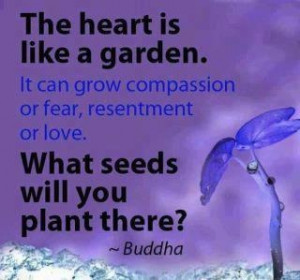 Plant good seeds...Buddha Quotes, Buddhists Quotes, Outdoor Plants ...