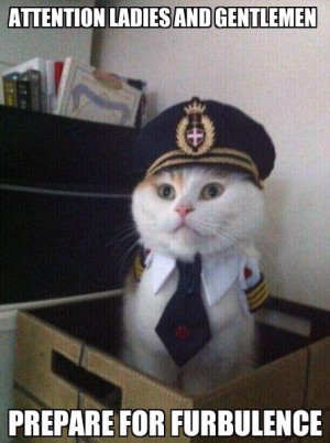 Aye aye meawoo Captain!