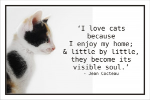code spc02 i love cats because i enjoy my home little by little they ...