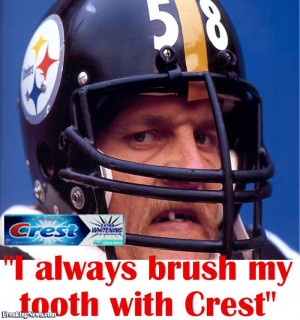 funny pittsburgh steelers quotes
