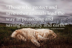 Protect animals