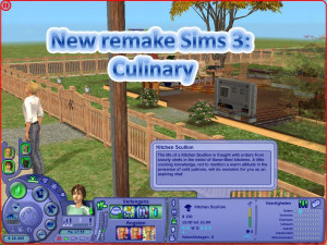 Sims 3 Career Mods
