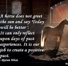 equine quotes choice outlook attitude choice equestrian stuff horses ...