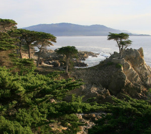 pebble beach hd wallpaper for ipad android