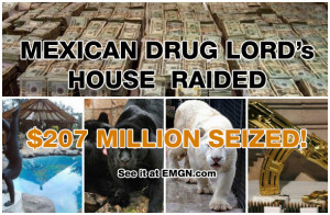 Mexican Drug Cartel Quotes
