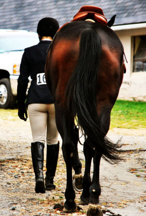 Found on equestrianbitch.tumblr.com