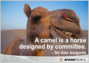 Motivational Quote - A camel is a horse designed by committee.