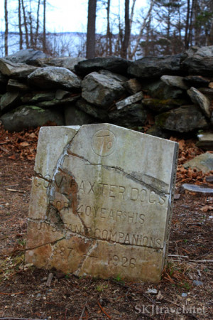 Small Pet Cemetery Where...