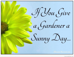 Sunny Days Images Cards With Quotes And Sayings
