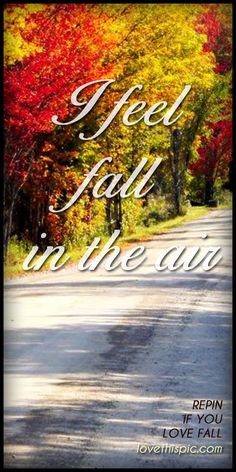 ... love fall in the air fall quote fall quotes autumn quote autumn quotes