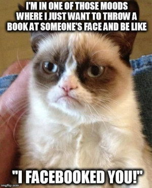 grumpy facebook cat
