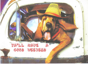 All Graphics » southern pride