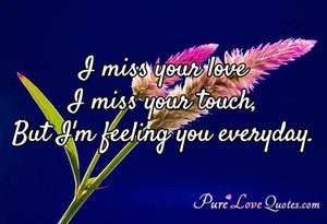 miss your love I miss your touch, But I'm feeling you everyday.