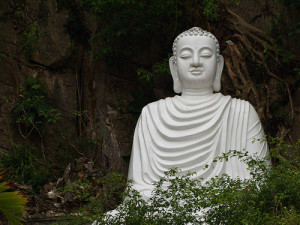 Tiny Wisdom: Judging by First Impressions