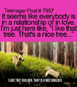 funny teenager relationship donkey shrek boulder