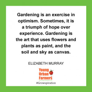 ... sometimes it is a triumph of hope over experience gardening is the