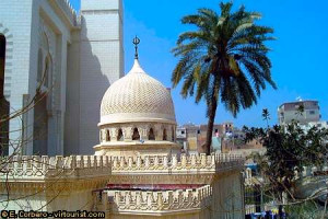 Thread: Alexandria, Egypt – 1948 days old