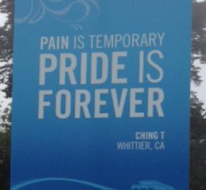 painistemporary.jpg - Christine Luff