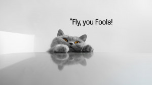 Funny Cat Sayings 8106 Hd Wallpapers