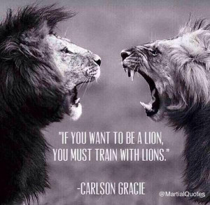 to be a lion you must train with lions carlson gracie bjj karate ...