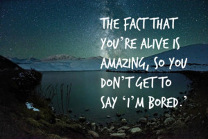 Louis CK quotes make for oddly satisfying motivational posters life is ...