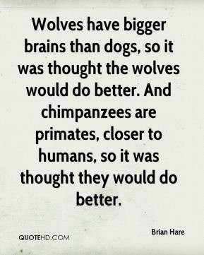 Primates Quotes
