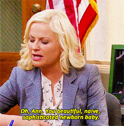 Parks and Recreation’: Ode to Leslie’s strangest Ann-jectives