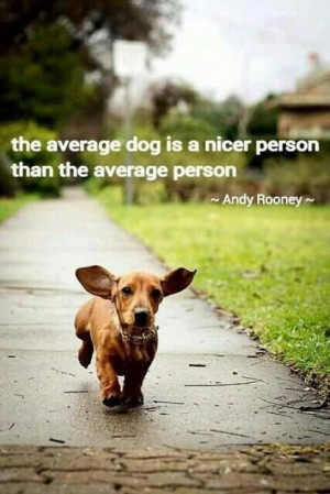 The average dog picture quotes image sayings